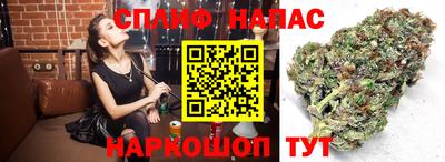 метадон Кингисепп
