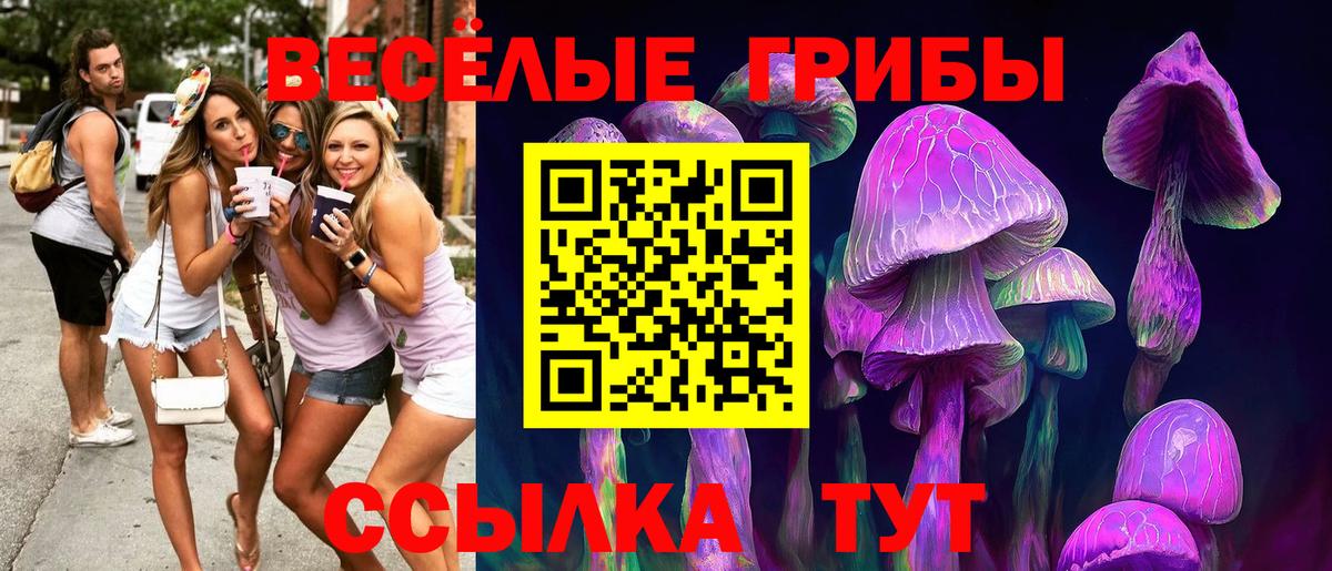 Псилоцибиновые грибы мицелий  Вход с VPN  Коммунар  Галлюциногенные грибы мицелий 