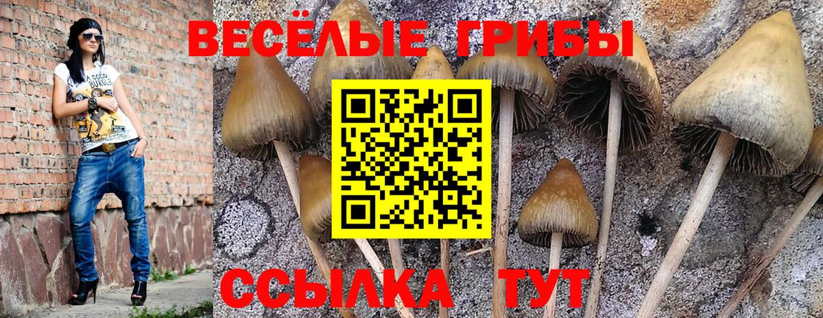 Галлюциногенные грибы ЛСД Коммунар
